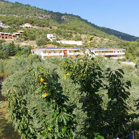 Studios Aspa III *